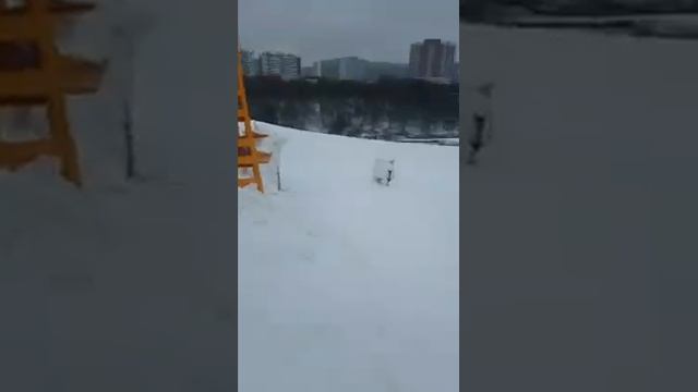 природа и музыка, красота и сила, медитация , Индия, RRR. смотреть онлайн