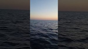 Морская прогулка ? на катере "Лукер" ? с прозрачным дном, в Анапе #анапа #катер #море #прогулка