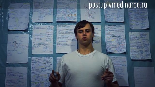 Строение и классификация высших растений. Ткани и органы смотреть онлайн