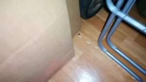 Тараканы жрут гель от тараканов