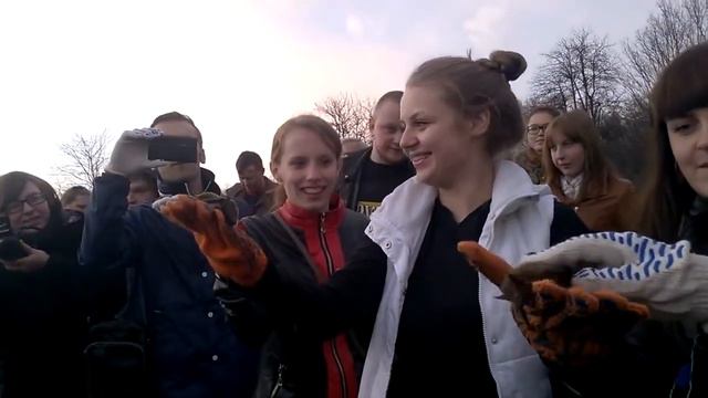 Воронежцы выпустили на волю летучих мышей смотреть онлайн