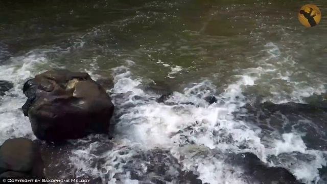 Romantic Saxophone Music for Relaxation ♪ Beautiful Saxophone Love Songs Instrumental смотреть онлайн