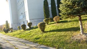 Перед санаторием ПЕРЛИНА ПРИКАРПАТТЯ г. Трускавец Львовской области Sanatorium Perlina Prykarpattya