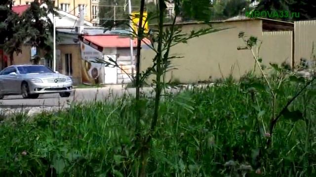 Город-курорт Кисловодск должен равняться на Пятигорск смотреть онлайн