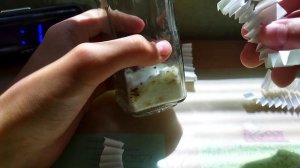 Как сделать энтомологическую морилку для насекомых #насекомые #энтомология #жуков #жуки