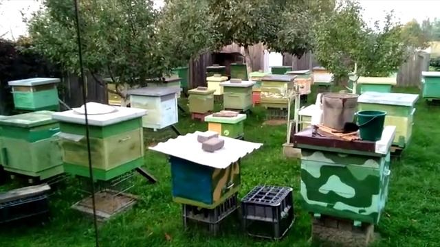 МОДУЛЬ ДЛЯ ПЕРЕВОЗКИ | СУПЕР ПЕЧЬ || ИГУМЕНСКИЙ ПЧЕЛОВОД смотреть онлайн