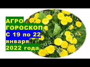 Агрогороскоп с 19 по 22 января 2022 года