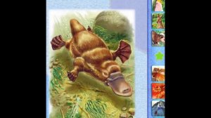 Обучающая игра . Мир зверей для малышей. В Австралии. Играем вместе. Игрушки и игры с детьми.