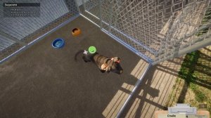 Первый взгляд на игру Animal Shelter | Открываем приют для собак