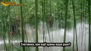 Течение чудесного времени 1 сезон 9 серия