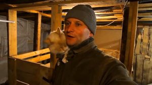 РАЗВЕДЕНИЕ СВИНЕЙ С НУЛЯ | Наши первые свиньи...