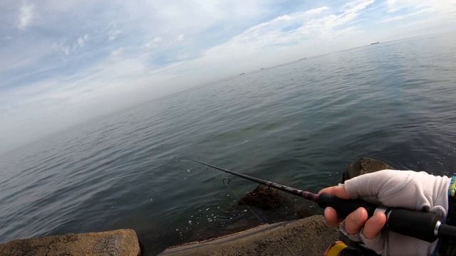 РЫБАЛКА НА ЧЕРНОМ МОРЕ. Как и где поймать САРГАНА на черном море. МОРСКАЯ РЫБАЛКА.