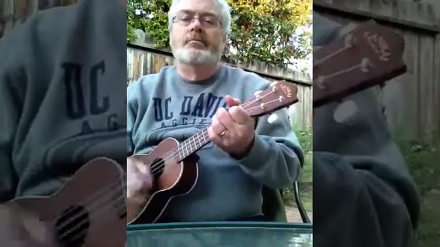 4 String Git-box or ukulele смотреть онлайн