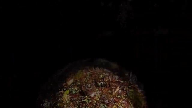 Обзор на Passing Pineview Forest ► Инди-хоррор ► Очень тёмный лес. смотреть онлайн