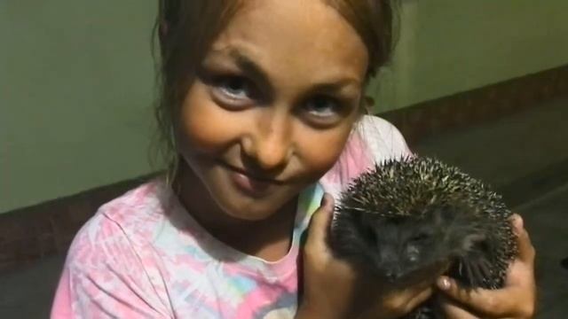 Еж вошь смотреть онлайн