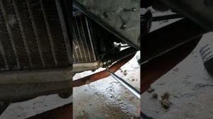 Yamaha gear 4T замена антифриза