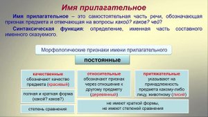 Тема 8. Изменение слова (части речи). Имя сущ., имя прилагательное, имя числительное и местоимение