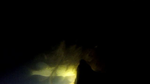 Ночная подводная охота (Night spearfishing) смотреть онлайн