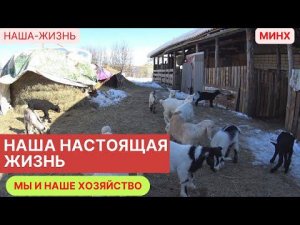 Наша настоящая жизнь