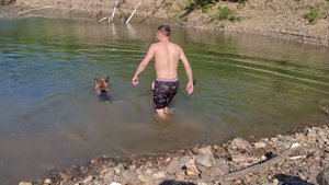 СОБАКА УКУСИЛА ЗА ЛИЦО