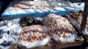 2 КАК ДОЙТИ ДО РЫБНОГО РЫНКА В ХУРГАДЕ????!#хургада#рыбныйрынок