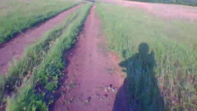 Долгожданная покатушка на велс голд классик смотреть онлайн