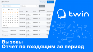 Twin. Отчет с детализацией разговоров бота на входящей линии