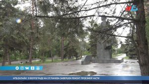 Как омолаживающая обрезка деревьев преобразила Волгоград