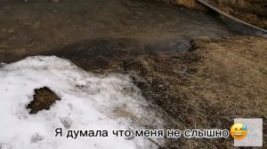 VLOG с басиками🐹/5 минут с вами✨/Миша заболел😔