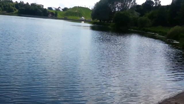 20150531 162625 парк Курасовщина, водхранилище Лошица, Минск, набережная, смелые дикие утята смотреть онлайн