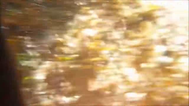 Scuba Tector - Searching rock pools @ Cape Vidal смотреть онлайн