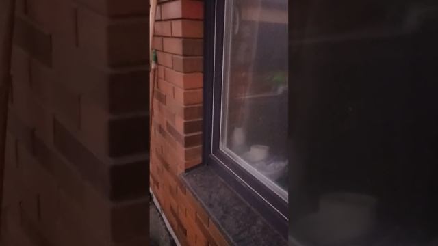 Я не использую псул! только герметик и металлический уголок.Чем заменить Псул на окнах смотреть онлайн