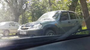 КОСЯКИ Шевроле Нива ( Chevrolet Niva )