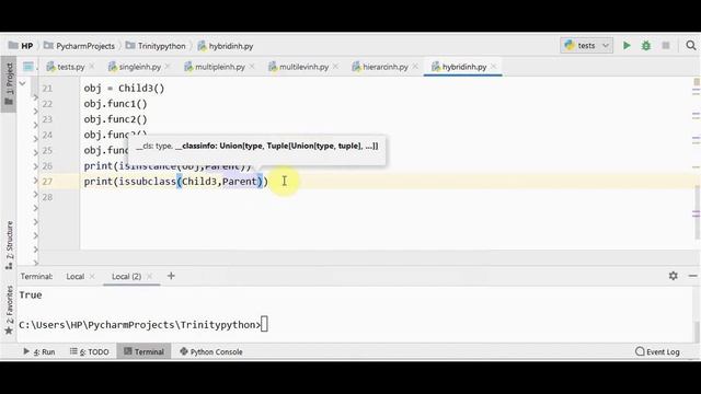 Python inheritance tutorial: OOP for beginners-part II