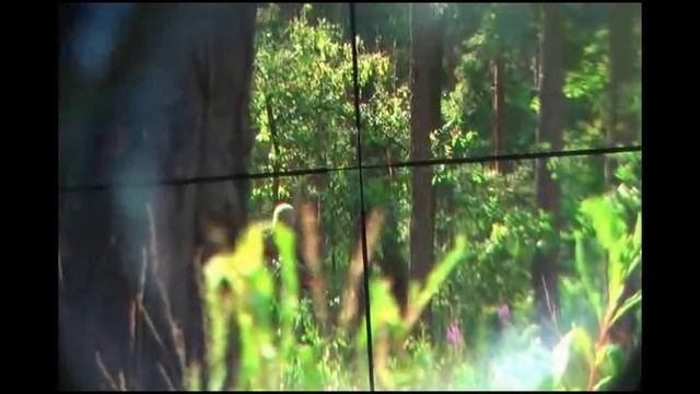 Airsoft sniper ambush смотреть онлайн