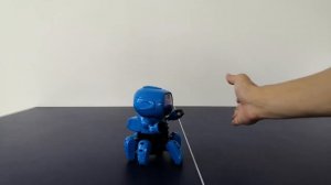 Обзор - Интерактивный робот-конструктор Small Six Robot