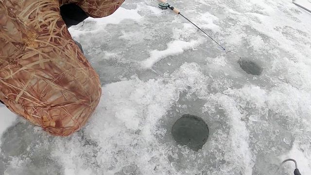 ЛОВИМ КАРПА ЗИМОЙ. смотреть онлайн