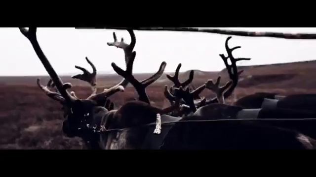 (((КЛИП ПРО ЯМАЛ)))советую досмотреть до конца!!! смотреть онлайн