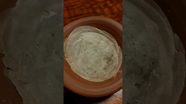 Изготовление натурального ганозиса в домашних условиях.