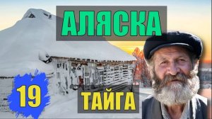 ЕЗДОВЫЕ СОБАКИ УПРЯЖКА СОБАК ВОЖАК ВЫЖИТЬ в ГОЛОД СЛУЧАЙ в ЛЕСУ СУДЬБА ПРОМЫСЕЛ ЖИЗНЬ в ТАЙГЕ 19