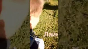 У него нога в скамейке застряла (пранки)