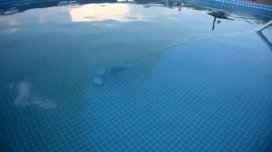 Вторая чистка бассейна после заливки