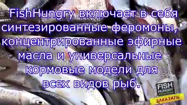 Как использовать активатор клева Fish xxl hungry смотреть онлайн