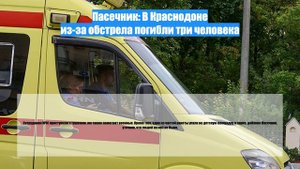Пасечник: В Краснодоне из-за обстрела погибли три человека