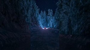 Зимняя музыка для сна. Путешествие по Тайге зимой. Космическая музыка.