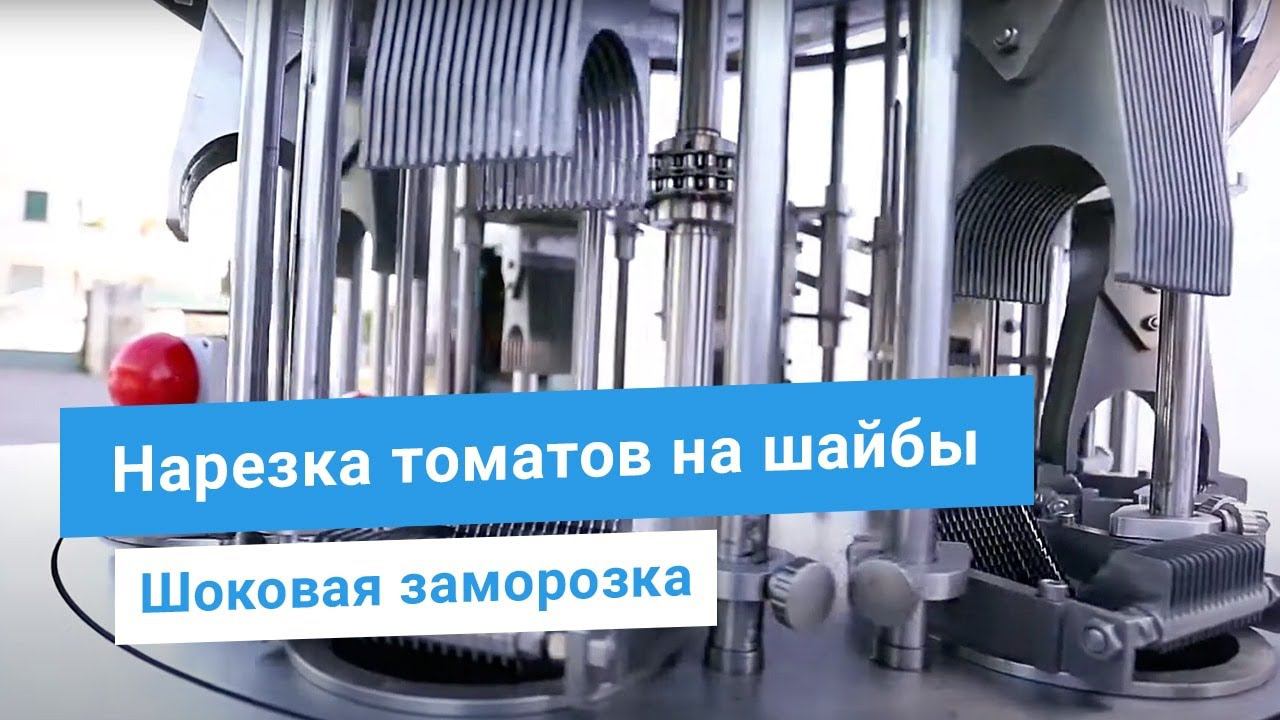 Промышленная нарезка овощей: томатов, лука, картофеля, перца на шайбы, дольки, соломку на машине PND
