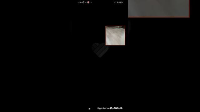 Как удалить видео из лайка смотреть онлайн