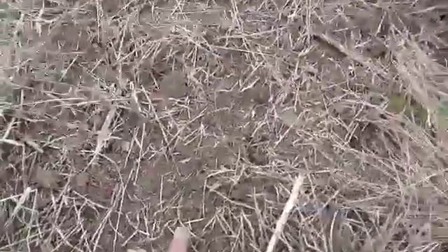 Роторные фрезы для мотоблока смотреть онлайн