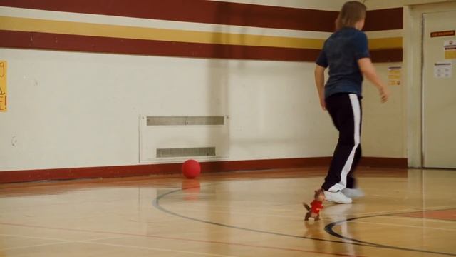 Ностальгирующий Критик #326 - Элвин и Бурундуки 2: Писквел смотреть онлайн