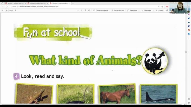 ГДЗ Spotlight 3кл английскийстр.13(81)What kind of animals? Domesticated or wild?(Reptiles or mamm.